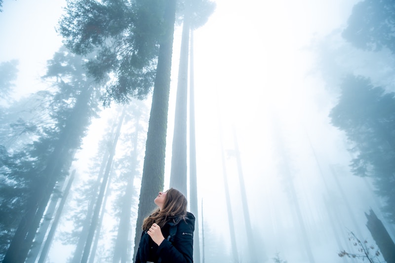 woman looking up at trees