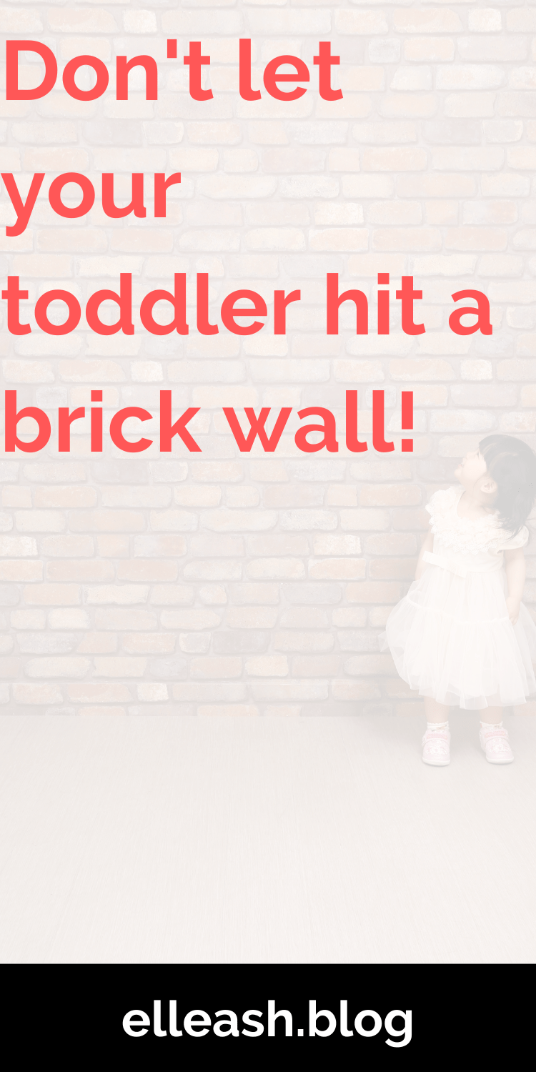 DON'T LET YOUR TODDLER HIT A BRICK WALL. More on elleash.blog